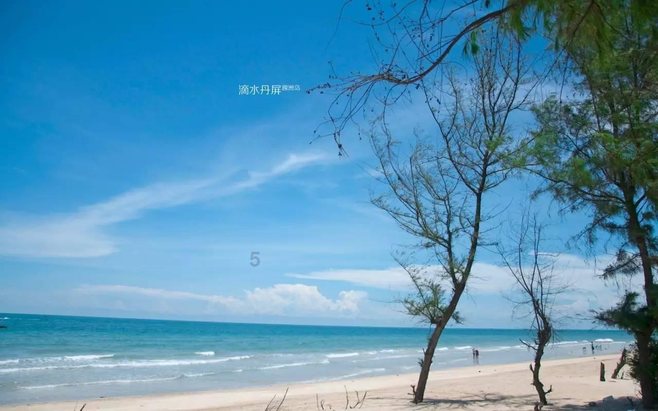 小猫钓鱼开船版最新版下载