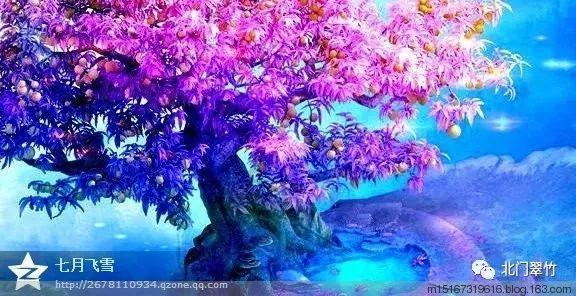 在工地上做安全员是上岗证重要还是C证重要?-专业问答网站,提供精准答案